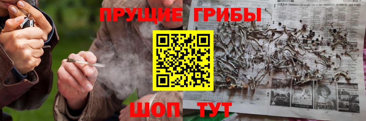 Псилоцибиновые грибы ЛСД Чапаевск
